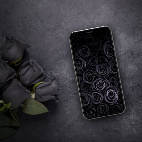 【シャドウブラックローズ】ダークな魅力＆クール！一面に広がる漆黒の薔薇の待ち受け画像