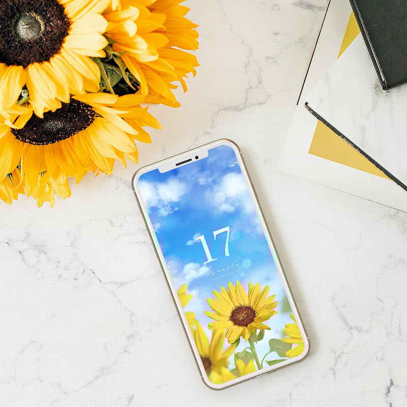 笑顔咲く🌻ひまわりと快晴ブルー＋数字17】心晴れやかになる夏空