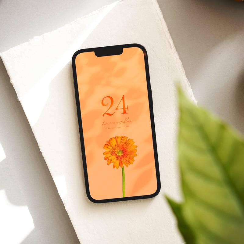 一輪のオレンジガーベラ🧡＋数字24】ポジティブな光が包むスマホ壁紙