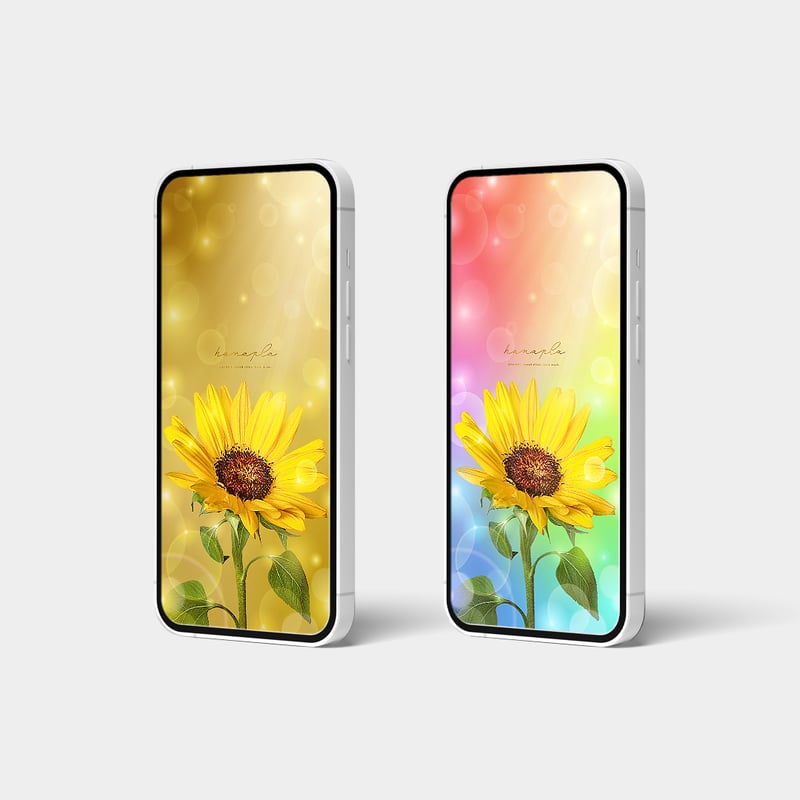 レインボーオーラ大輪ひまわり】願いが叶う🌟七色の光を浴びて咲く開運