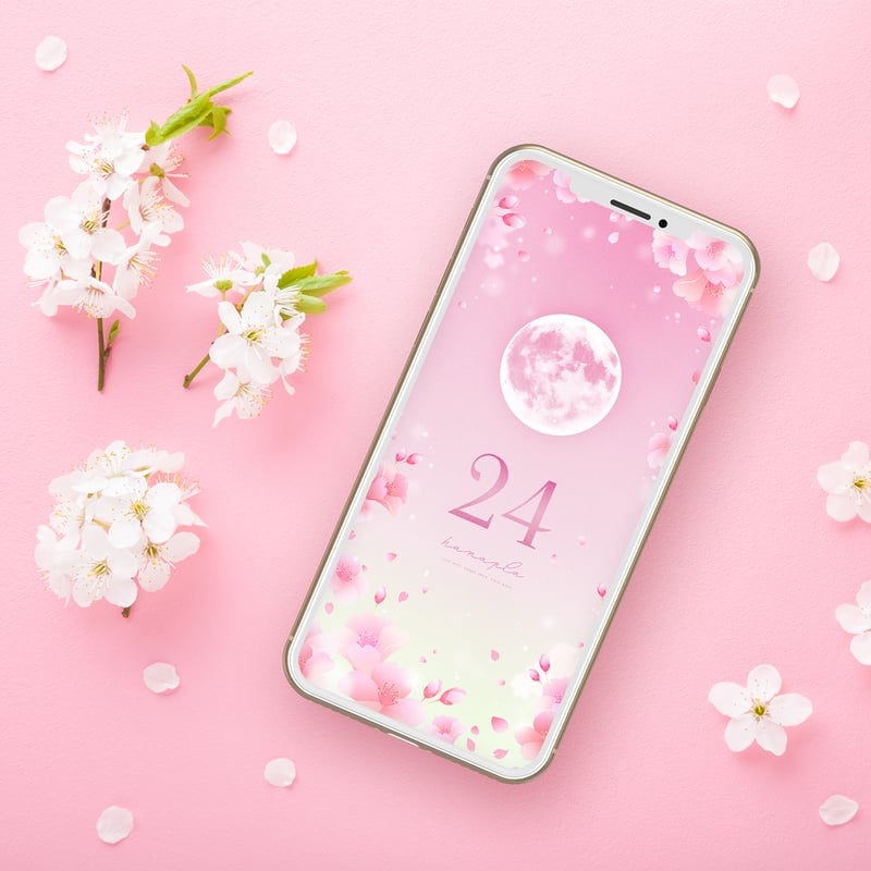 ピンク様へ♥2月中旬 春らんまん桜満月＋数字24🌕】花びら舞うピンクムーンと桜の癒し