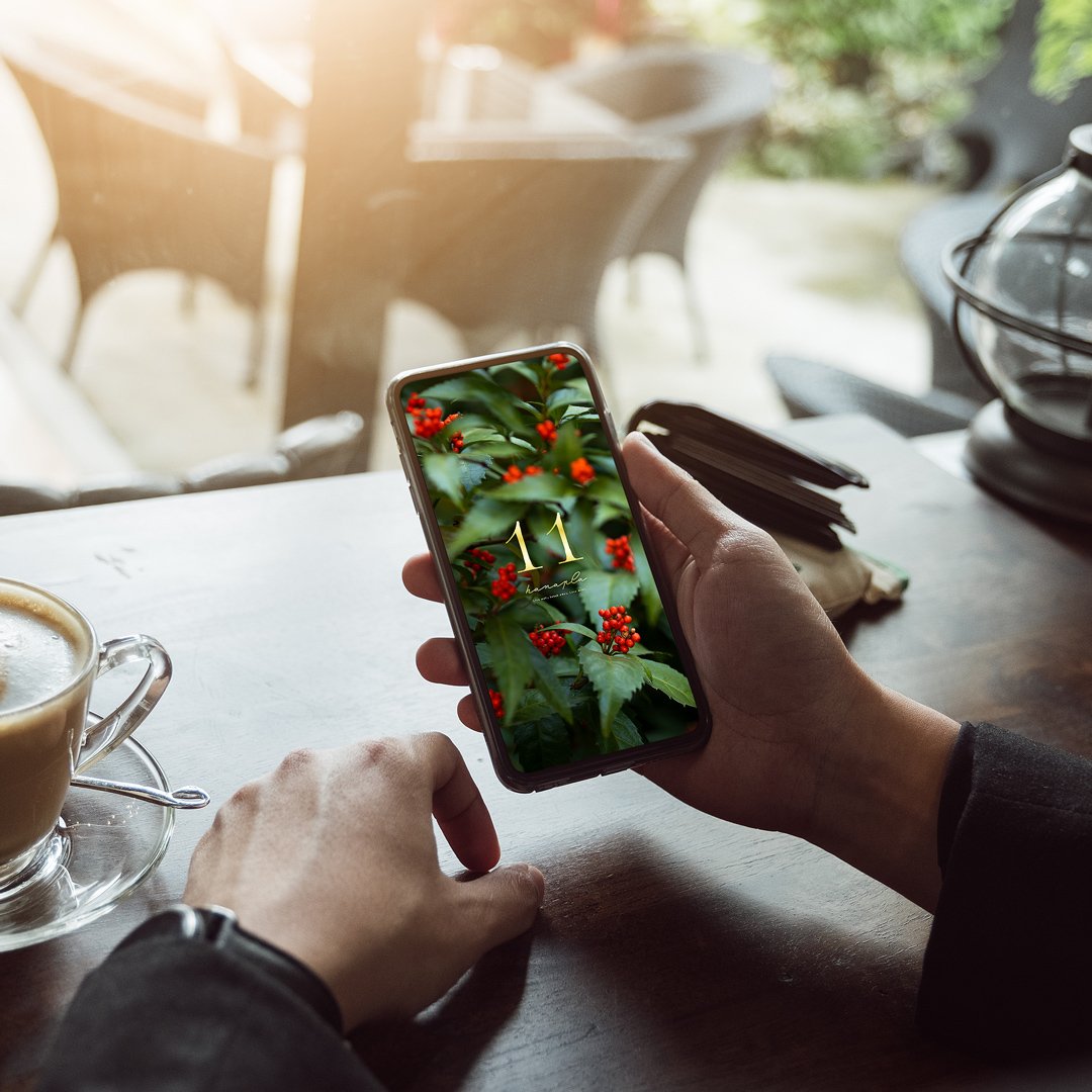 ⚠️注意‼️発送が特定月末の限定品 　赤は魔を払う縁起の良い石　おすすめの古い原石 楽天市場】【マラソン限定9%OFFクーポン利用可】赤い玉 水晶玉