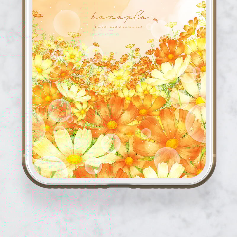 山吹色の秋空と満開コスモス＋数字35】🍂✨心を癒すオレンジと黄