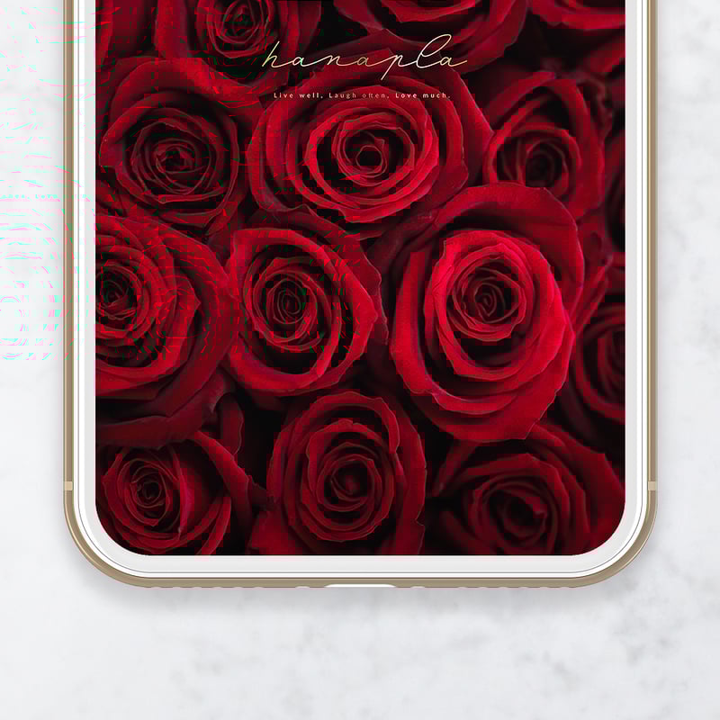 薔薇　額 楽天市場】絵画（色紙額） 赤い薔薇 （吉村翠峰） 送料無料 : 掛け軸