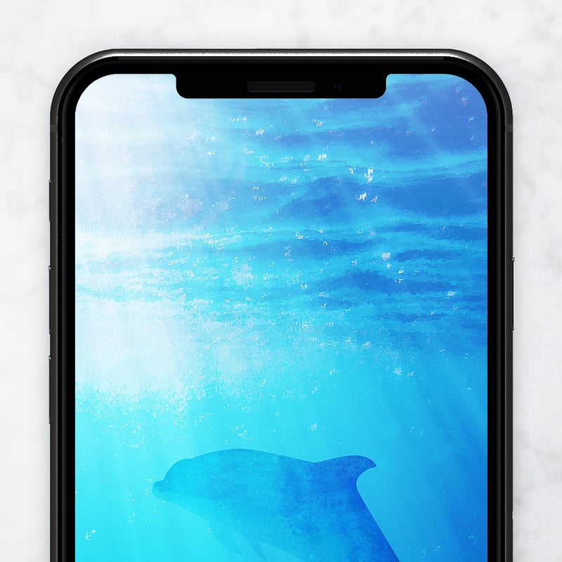 ブルーイルカの浄化海中ヒーリング＋数字11】心を整えリセットする