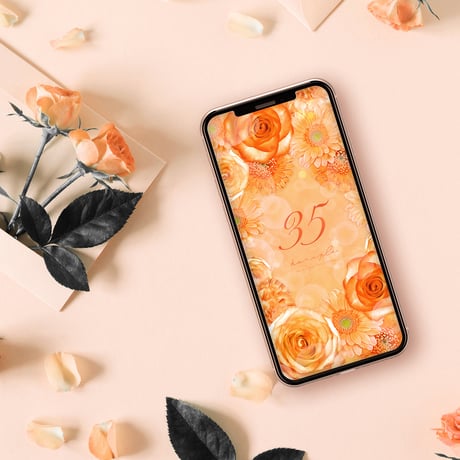 ガーベラ | STORES