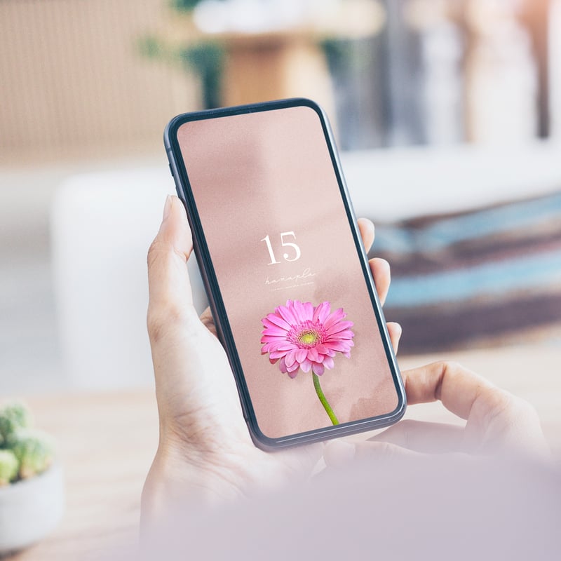 愛を咲かせるピンクガーベラ・癒しのくすみピンク背景＋数字15】🌷心を