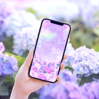 【パープルあじさいと虹色彩雲の幻想】💜やさしく満ちる紫の光✨愛情運と癒しを包む開運待ち受け
