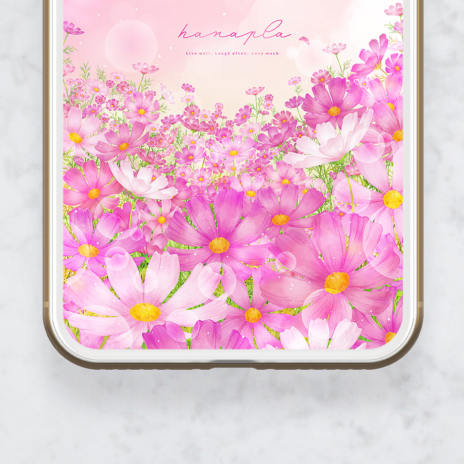 真作】掛軸 秋実あけび図 彩色花果画 彩色美品 紫実に映