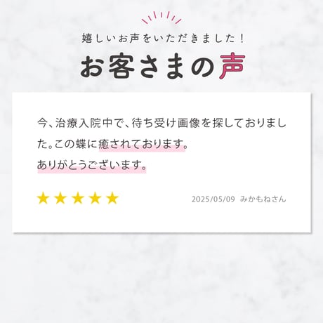 【キラキラ舞う🦋ピンクアゲハ】夢叶うスマホ壁紙💎幸運を呼ぶグラデーション💖✨