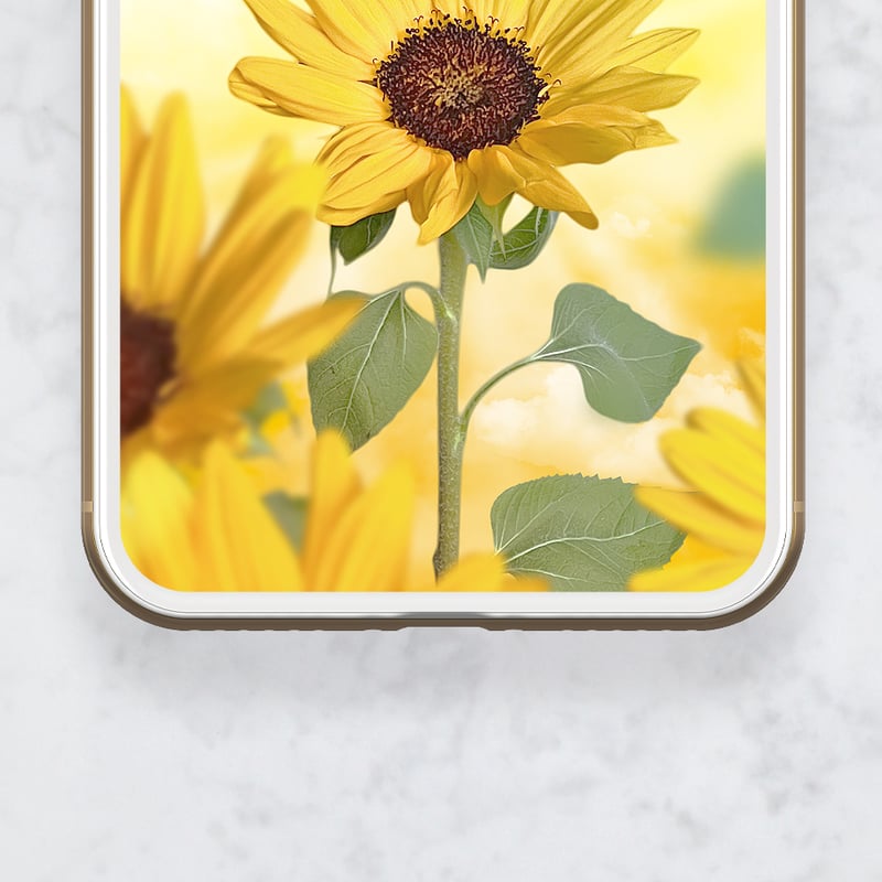 笑顔咲く🌼ひまわりと朝日イエロー】✨元気をくれるスマホ待受画像で