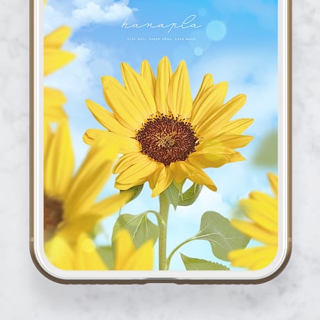 【笑顔咲く🌻ひまわりと快晴ブルー＋数字17】心晴れやかになる夏空と向日葵のスマホ壁紙💙癒しと元気をあなたに✨