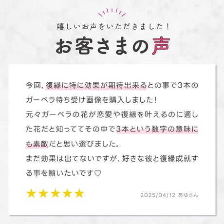 【3本のピンクガーベラ】恋のおまじない効果！恋を叶えるピンクの花の待ち受け画像