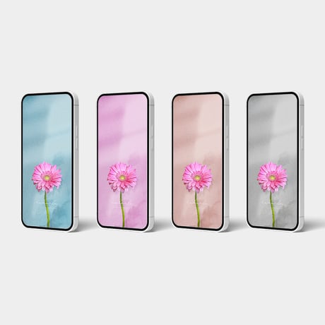 【恋愛運アップ】超強力な恋愛成就のお守り！ピンクガーベラのスマホ壁紙