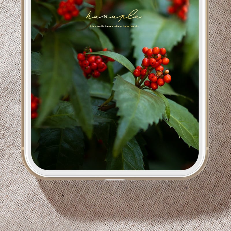 ⚠️注意‼️発送が特定月末の限定品 　赤は魔を払う縁起の良い石　おすすめの古い原石 レッド ヘマタイト クォーツ エッグ マダガスカル産 赤水晶