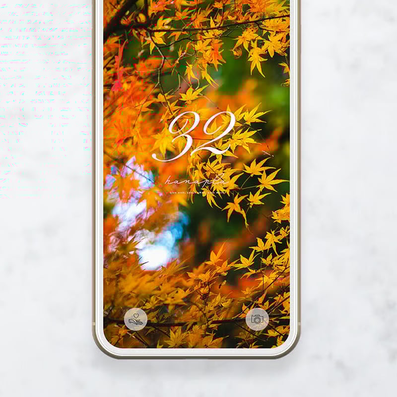 幸運と秋風を運ぶ黄金モミジ＋数字32】✨光り輝き風に揺れる紅葉が心を