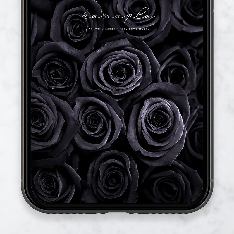 薔薇の絨毯ブラックローズ】願い叶える漆黒薔薇！圧倒的な存在感🌙心に