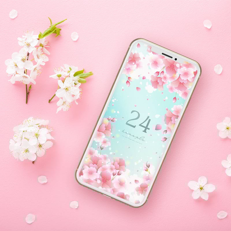 春うらら見上げ桜＋数字24】新しい門出に最適！風に舞う桜と快晴
