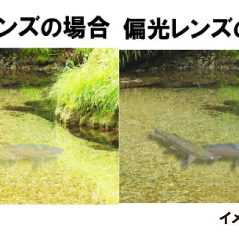 LEOTTIレオッティ UVカット サングラス 1眼 偏光 ブルーミラー