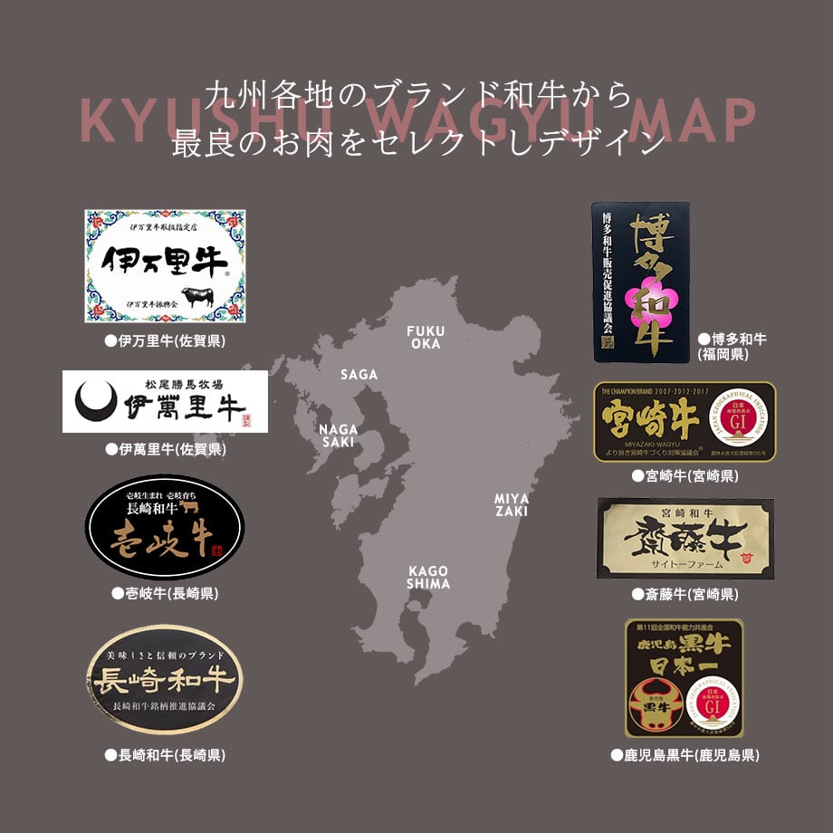 赤身中心 肉師セレクトのカジュアル焼肉セット 約400g A5等級 九州