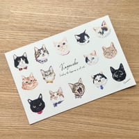 かごねこオリジナル・ポストカード（はるさめ商店コラボ）