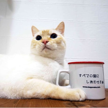 かごねこオリジナル・レトロマグカップ（ふちどりレッド）