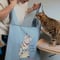 かごねこビッグエコバック(大きいサイズ)