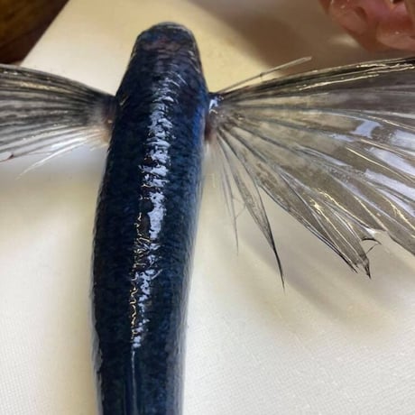 あごだしふりかけ　サラサラ粉末タイプ