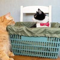 かごねこオリジナル・マルシェエコバッグ