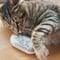 かごねこ電子カイロ