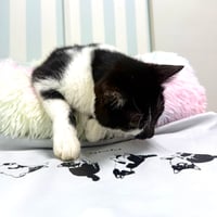 よしのちゃんTシャツ