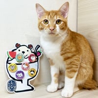 かごんま缶バッジセット　しろくま