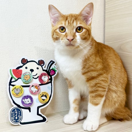 かごんま缶バッジセット　しろくま