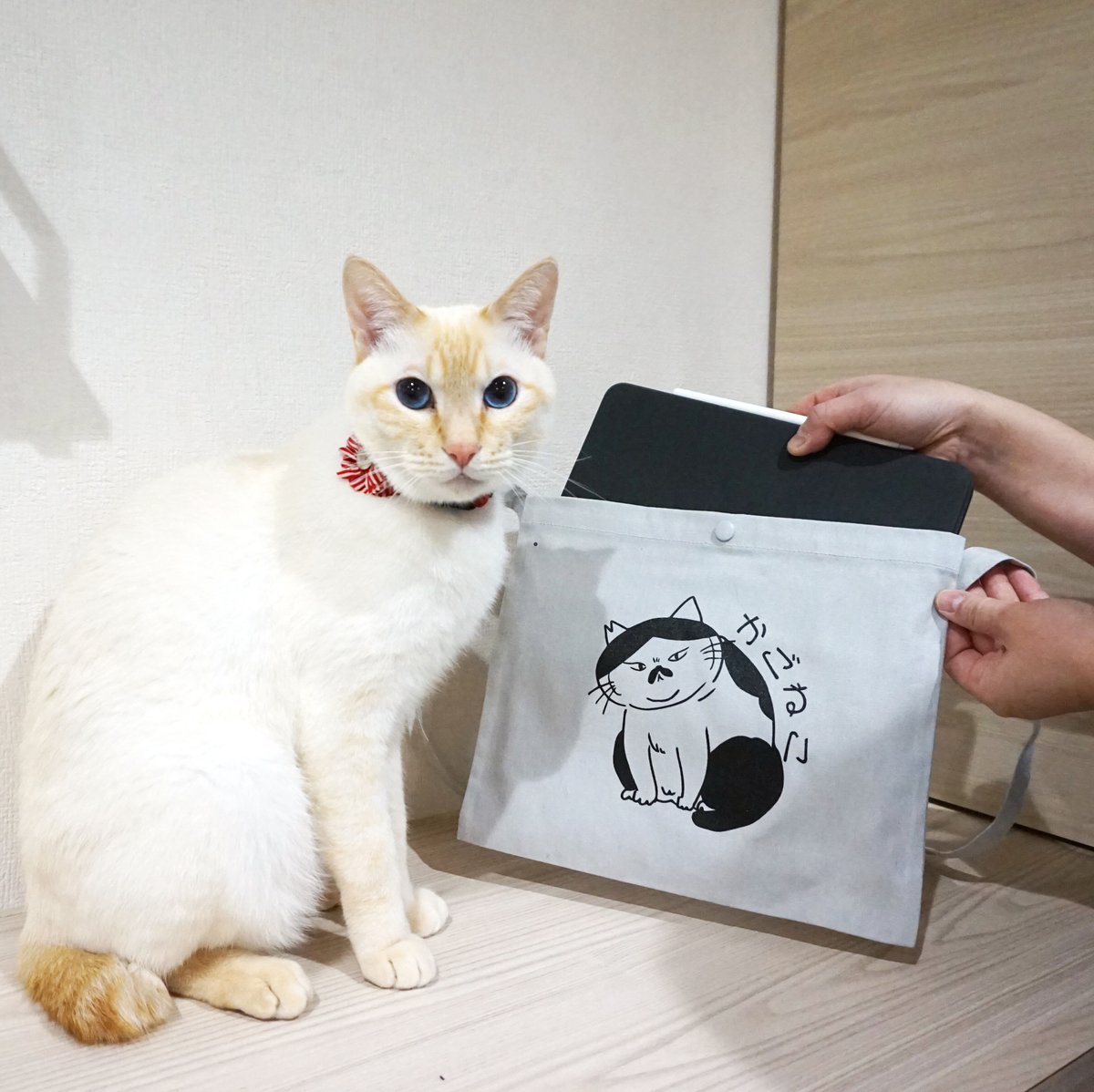 かごねこオリジナル こみかんサコッシュ | KAGONEKO STORE