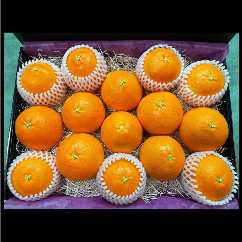 贈答用えひめのまどんな中15玉入り(約3.7kg) | 宮本農園