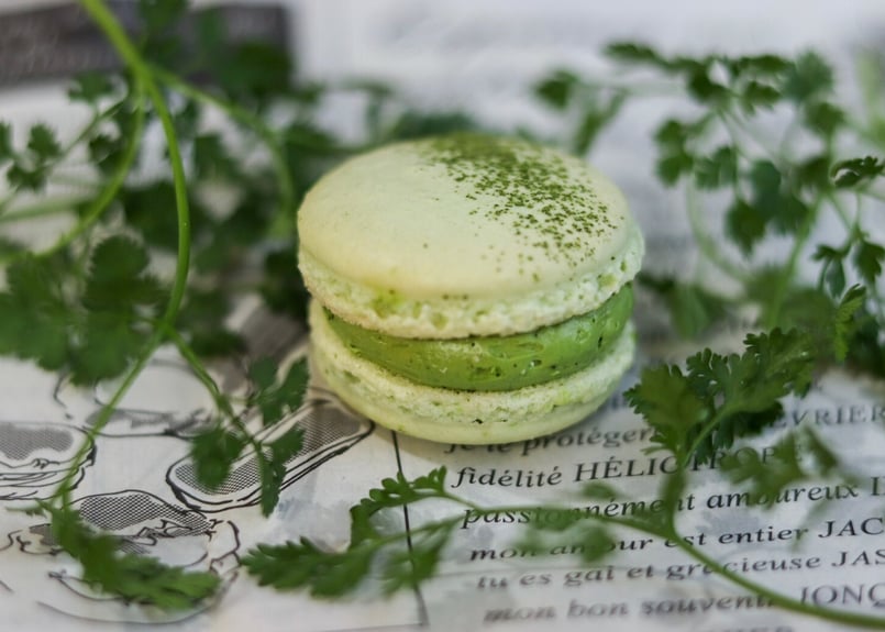 マカロンプロフ必読様 プロフ必読ください。マカロン様専用