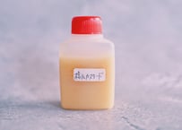 【卵感とコクをプラス！】ポッシュカスタード［25g］
