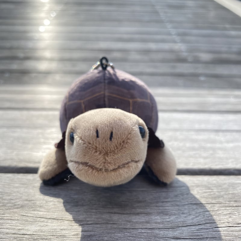 リアルぬいぐるみマスコット アルダブラゾウガメ | átoa MUSEUM SHOP