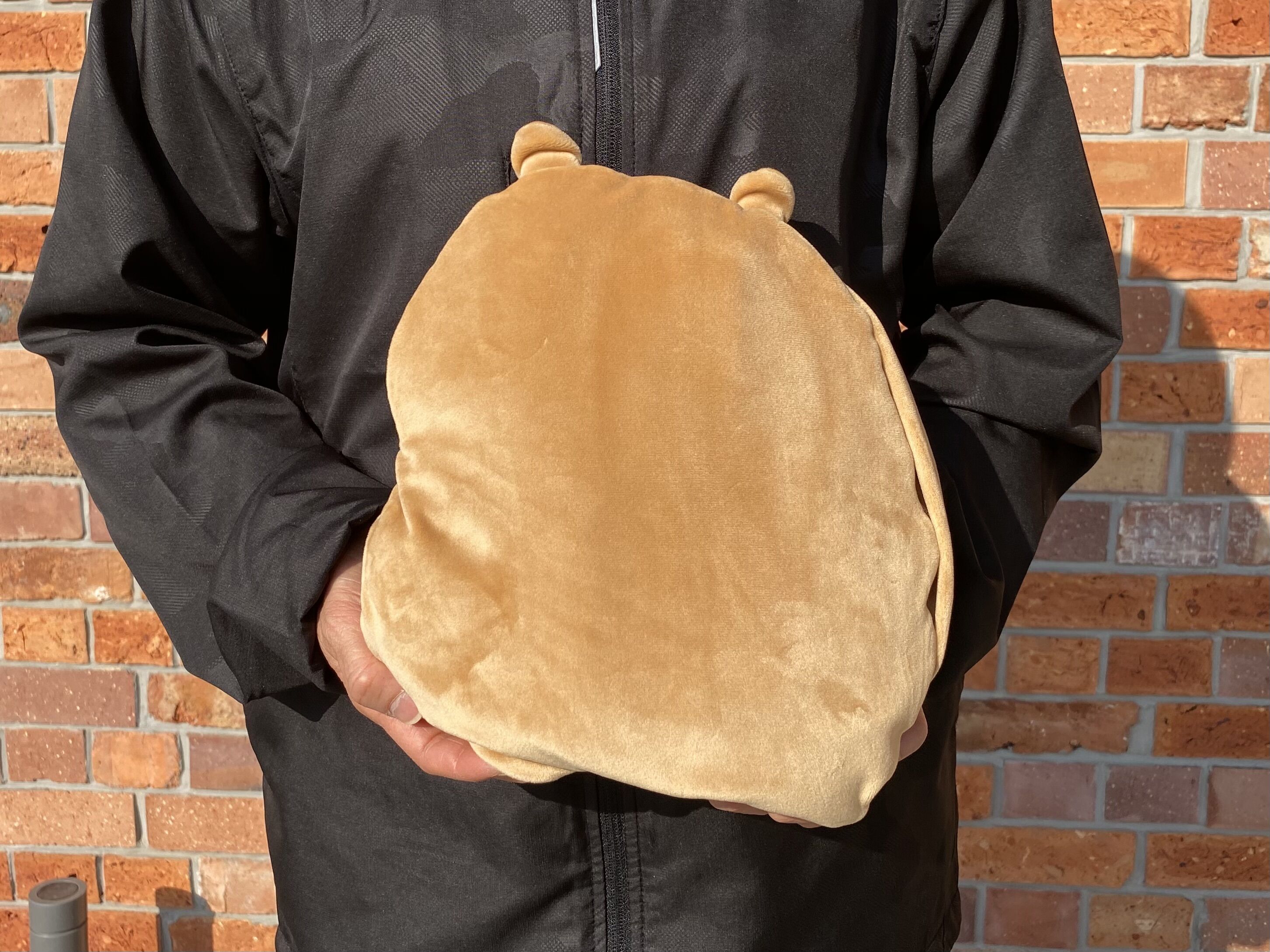 ピロークッション 各種 | átoa MUSEUM SHOP アトアミュージアムショップ