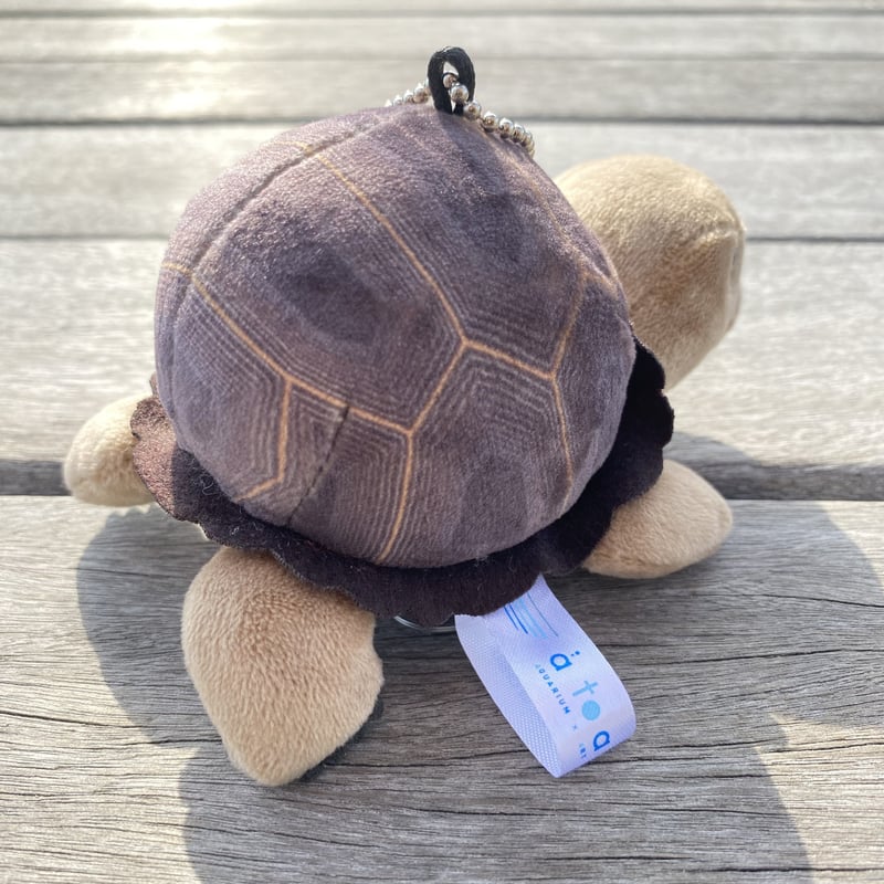 リアルぬいぐるみマスコット アルダブラゾウガメ | átoa MUSEUM SHOP