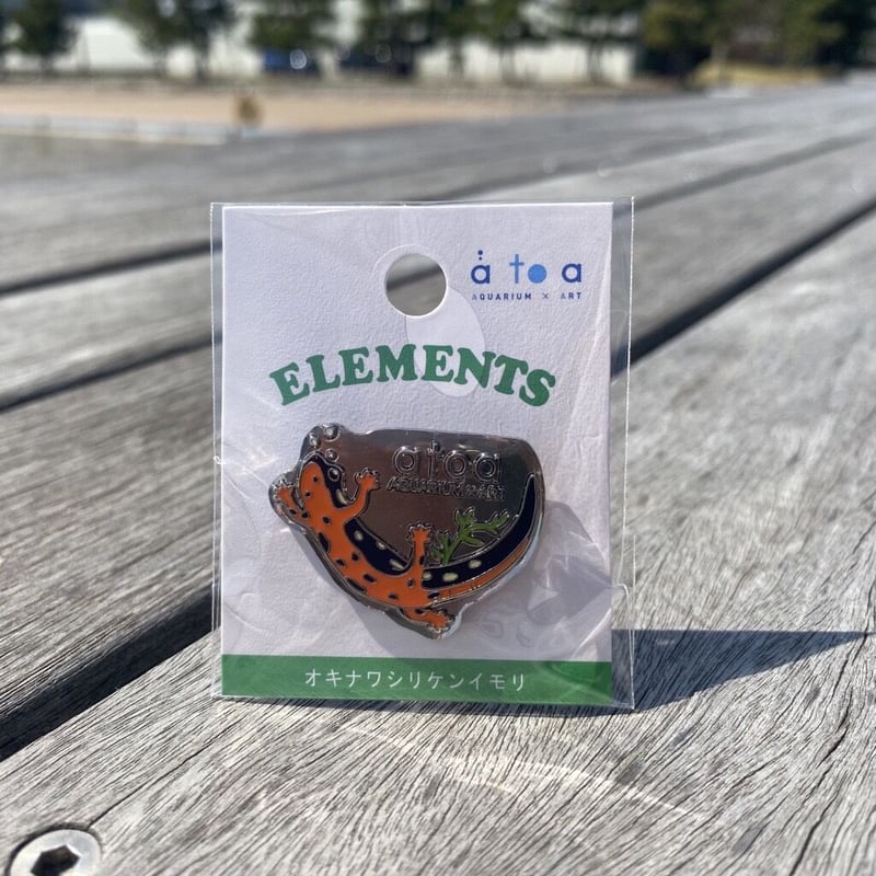 ピンバッジ オキナワシリケンイモリ | átoa MUSEUM SHOP アトア