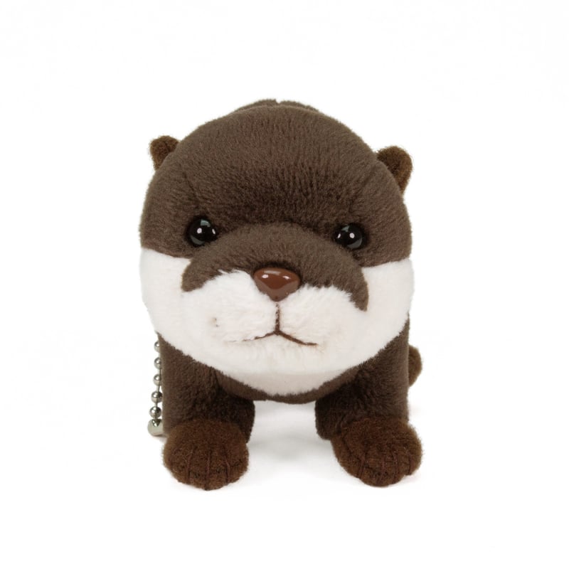 リアルぬいぐるみマスコット カワウソ | átoa MUSEUM SHOP アトア