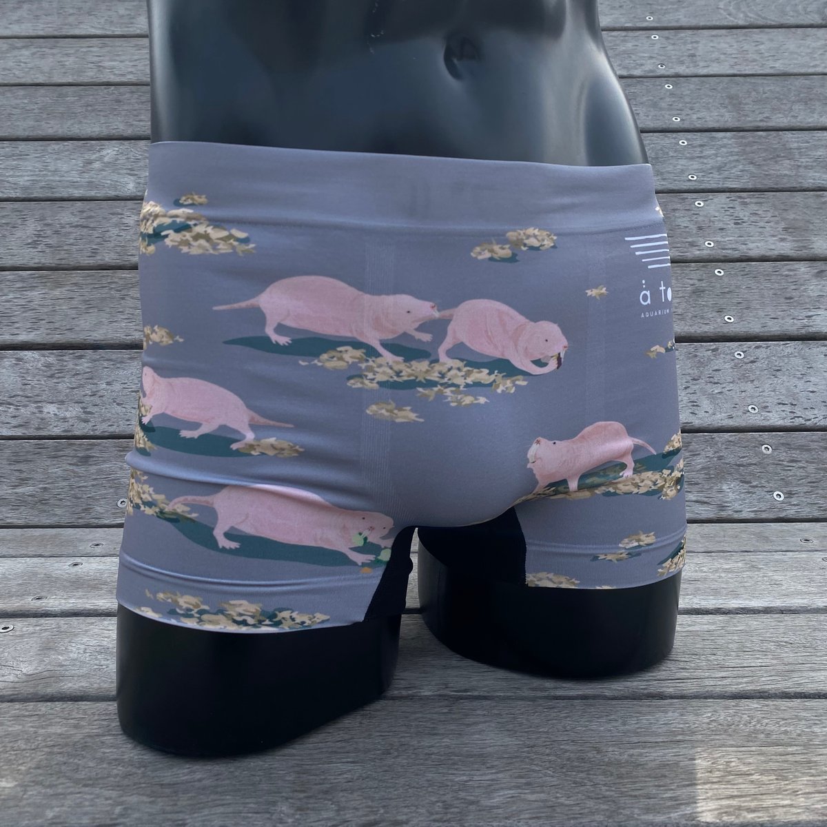 といかパンツ シームレスボクサーパンツ ハダカデバネズミ | átoa MUSEUM SHOP