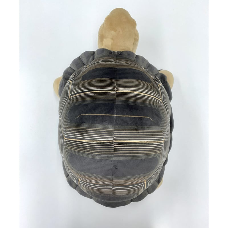 リアルぬいぐるみ アルダブラゾウガメ | átoa MUSEUM SHOP リアルぬいぐるみ アルダブラゾウガメ | átoa MUSEUM SHOP