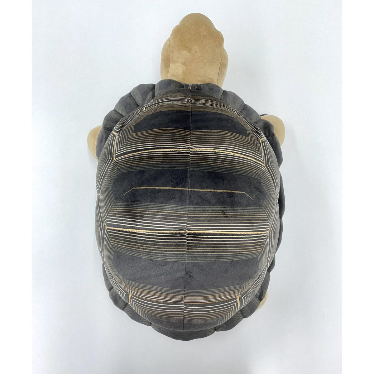 リアルぬいぐるみ アルダブラゾウガメ | átoa MUSEUM SHOP リアルぬいぐるみ アルダブラゾウガメ | átoa MUSEUM SHOP