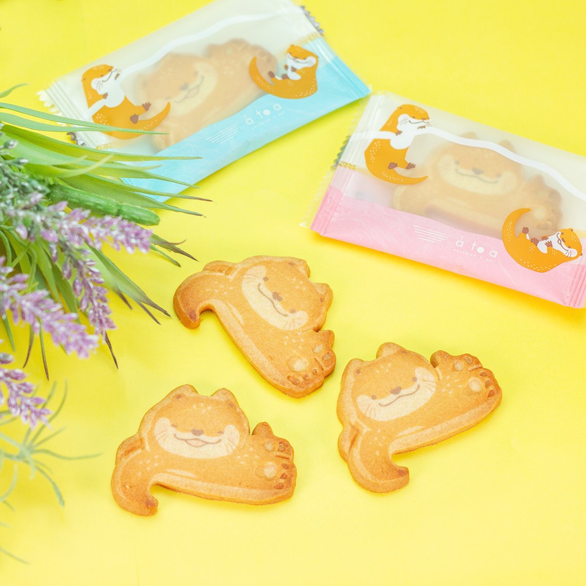 カワウソ♡流れ星クッキー☆ ぶらりんカワウソクッキー | átoa MUSEUM SHOP アトアミュージアムショップ