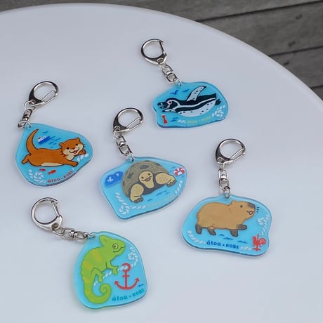 CATEGORY カメレオン | átoa MUSEUM SHOP アトアミュージアムショップ