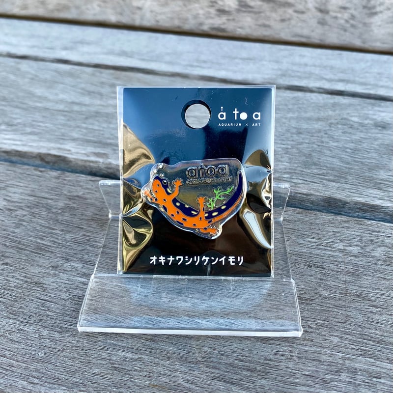 ピンバッジ オキナワシリケンイモリ | átoa MUSEUM SHOP アトア