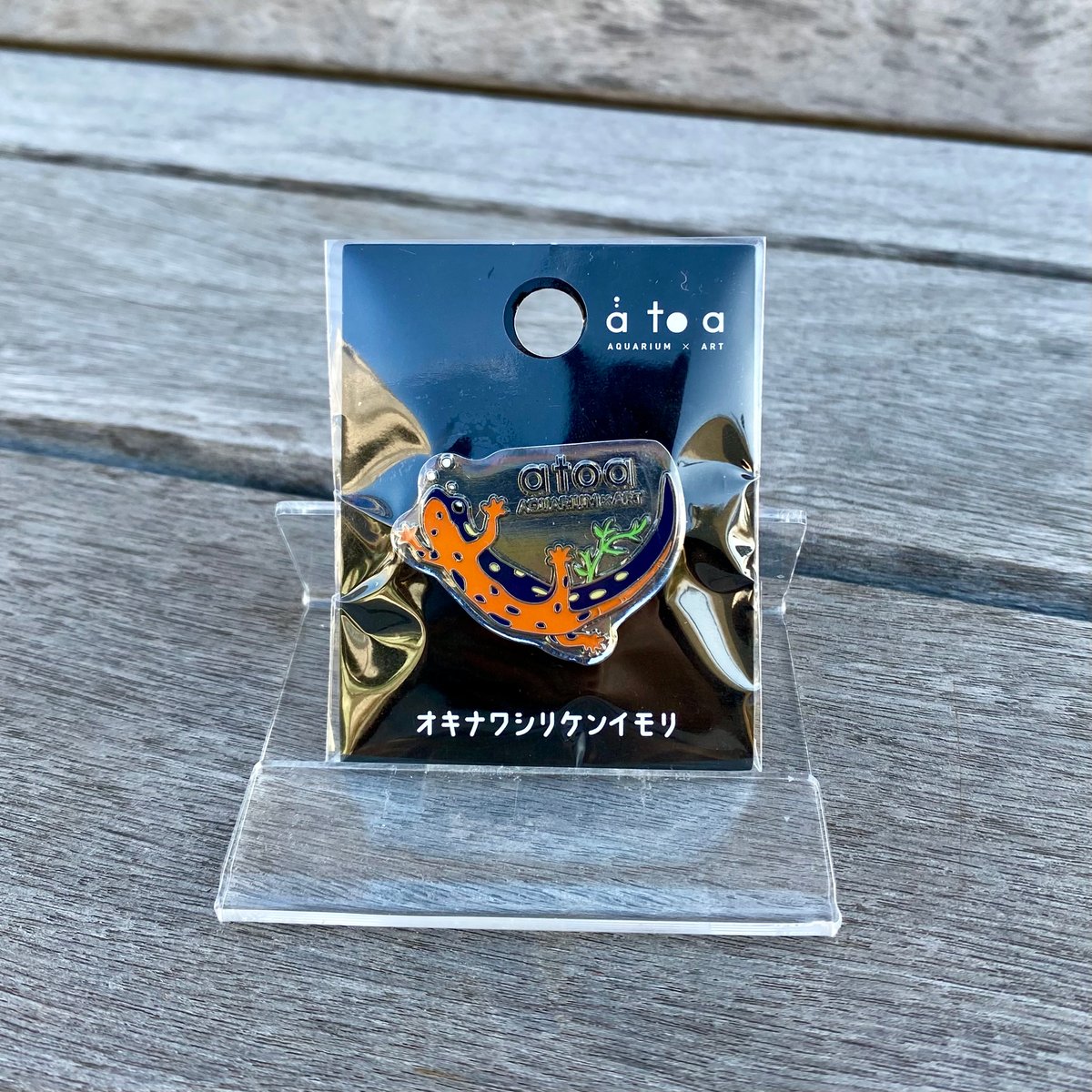 ピンバッジ オキナワシリケンイモリ | átoa MUSEUM SHOP アトア