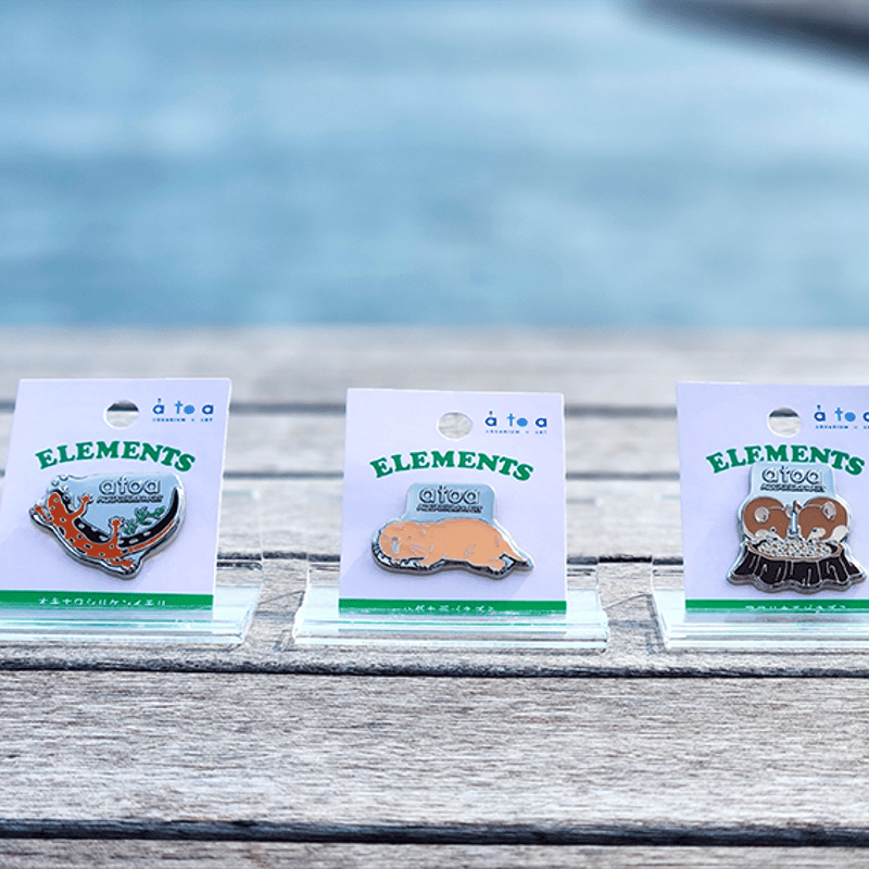 ピンバッジ アフリカチビネズミ | átoa MUSEUM SHOP アトア